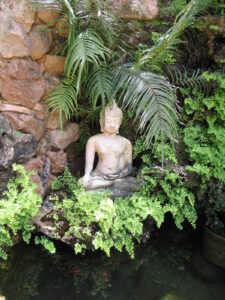 boedha ibiza
